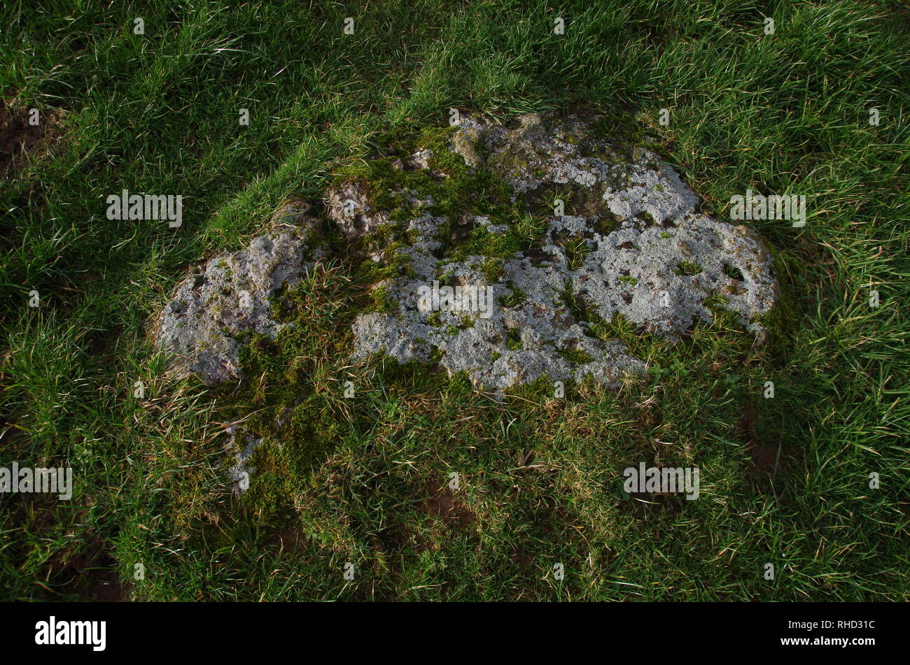 Kingston Russell Stone Circle. Le Macmillan Way. Sentier de longue distance. Le Dorset. L'Angleterre. UK Banque D'Images