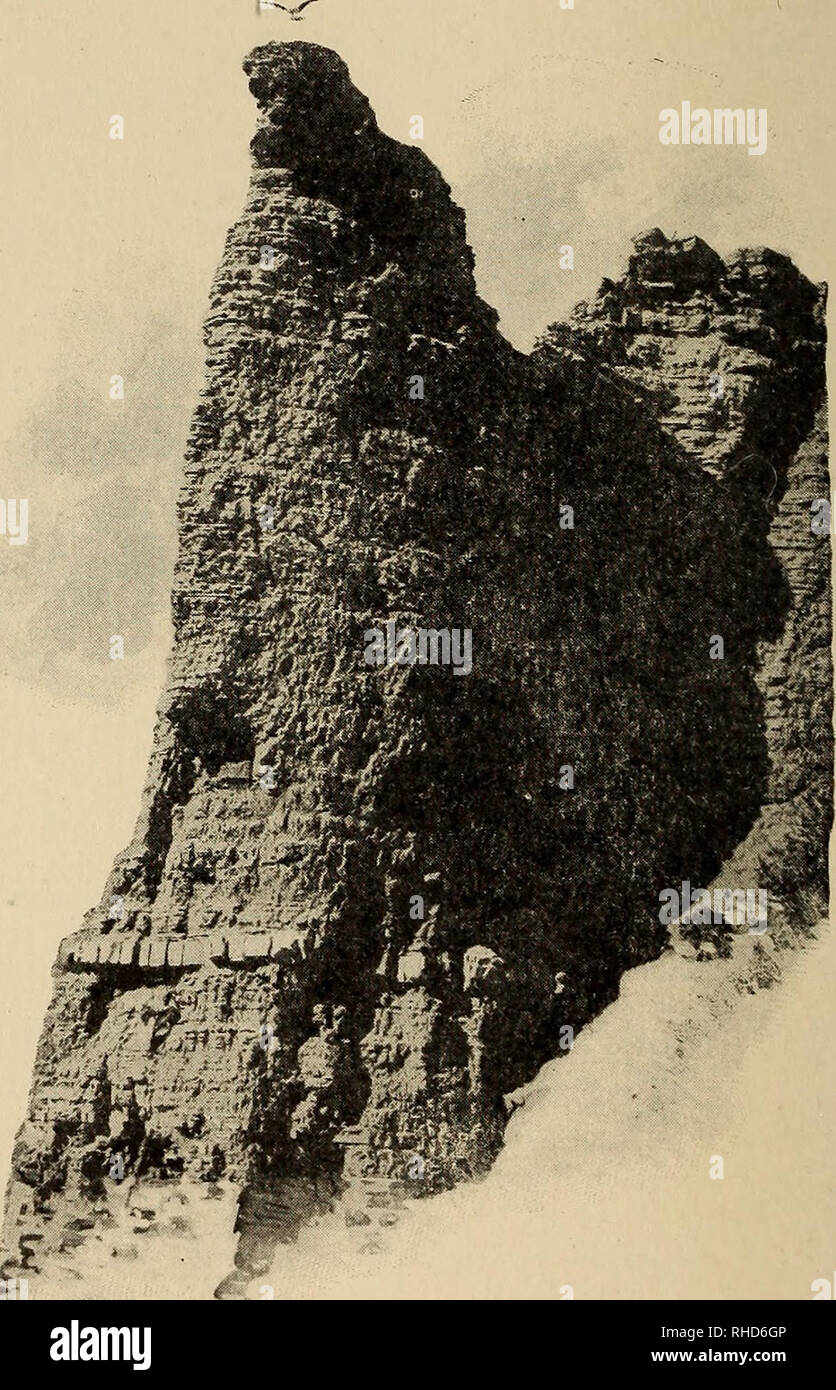 . Livre d'une centaine d'ours. Les ours. 222 LIVRE D'une centaine d'OURS BLANCS nous plonger à la Swan Valley, dont la vaste étendue de verdure se promène un peu. EAGLE NEST-ROCK CANON GARDINER flux tranquille, un affluent de la rivière Gardiner ; et ici j'avais un autre exemple de parc. Veuillez noter que ces images sont extraites de la page numérisée des images qui peuvent avoir été retouchées numériquement pour plus de lisibilité - coloration et l'aspect de ces illustrations ne peut pas parfaitement ressembler à l'œuvre originale.. Smith, F. Dumont (Frédéric Dumont), 1861-1935. Chicago, Illinois , Rand McNally &, le nom de l'entreprise Banque D'Images . Livre d'une centaine d'ours. Les ours. 222 LIVRE D'une centaine d'OURS BLANCS nous plonger à la Swan Valley, dont la vaste étendue de verdure se promène un peu. EAGLE NEST-ROCK CANON GARDINER flux tranquille, un affluent de la rivière Gardiner ; et ici j'avais un autre exemple de parc. Veuillez noter que ces images sont extraites de la page numérisée des images qui peuvent avoir été retouchées numériquement pour plus de lisibilité - coloration et l'aspect de ces illustrations ne peut pas parfaitement ressembler à l'œuvre originale.. Smith, F. Dumont (Frédéric Dumont), 1861-1935. Chicago, Illinois , Rand McNally &, le nom de l'entreprise Banque D'Images