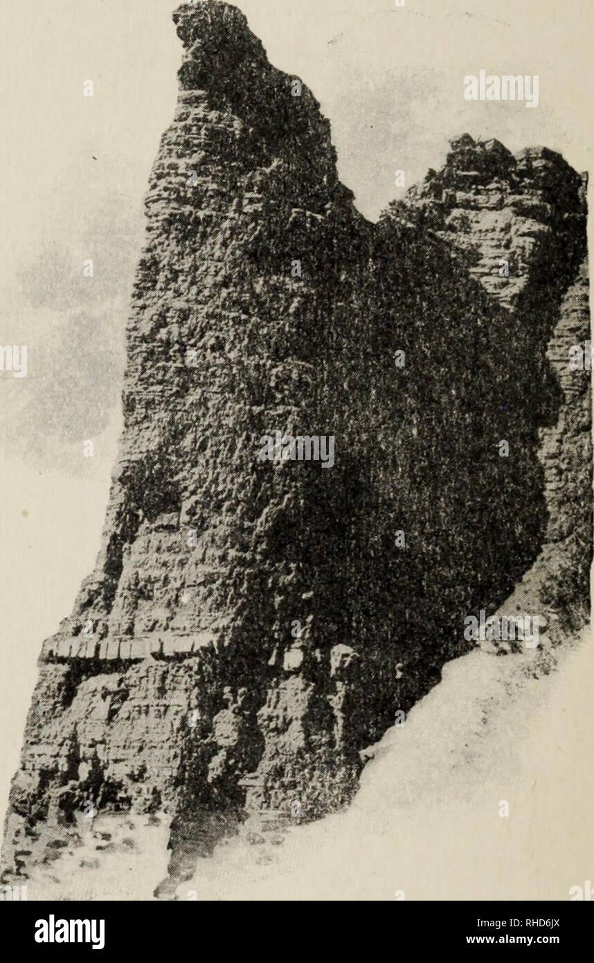 . Livre d'une centaine d'ours. Les ours. 222 LIVRE D'une centaine d'OURS BLANCS nous plonger à la Swan Valley, dont la vaste étendue de verdure se promène un peu. EAGLE NEST-ROCK CANON GARDINER flux tranquille, un affluent de la rivière Gardiner ; et ici j'avais un autre exemple de parc. Veuillez noter que ces images sont extraites de la page numérisée des images qui peuvent avoir été retouchées numériquement pour plus de lisibilité - coloration et l'aspect de ces illustrations ne peut pas parfaitement ressembler à l'œuvre originale.. Smith, F. Dumont (Frédéric Dumont), 1861-1935. Chicago : Rand McNally & ; Co. Banque D'Images . Livre d'une centaine d'ours. Les ours. 222 LIVRE D'une centaine d'OURS BLANCS nous plonger à la Swan Valley, dont la vaste étendue de verdure se promène un peu. EAGLE NEST-ROCK CANON GARDINER flux tranquille, un affluent de la rivière Gardiner ; et ici j'avais un autre exemple de parc. Veuillez noter que ces images sont extraites de la page numérisée des images qui peuvent avoir été retouchées numériquement pour plus de lisibilité - coloration et l'aspect de ces illustrations ne peut pas parfaitement ressembler à l'œuvre originale.. Smith, F. Dumont (Frédéric Dumont), 1861-1935. Chicago : Rand McNally & ; Co. Banque D'Images