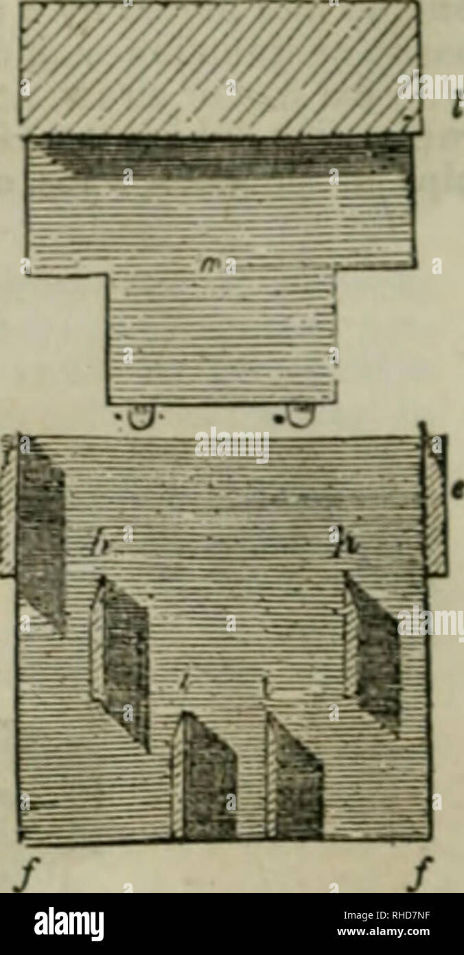 . Le livre de la ferme : détaillant les travaux de l'agriculteur, steward, laboureur, couverture, l'homme, pasteur, travailleur de terrain, et dairymaid. L'agriculture. 512 LE LIVRE DE LA FERME L'hiver. Fig. 260 (1250). Tttrnip tlicer-levier. L'un des moins chers et des plus efficaces est de navet-slicer représentent- de au fifj- 2."i9. C'était avant l'esf brou^Higliland et Société d'Agriculture, de l'Écosse par M. Wallace de l'Kirkcoiinell iaiprovcment. comme sur un xistinf^ prei-machine du même genre.' Il haa depuis subi quelques améliorations plus loin dans les mains de James et de l'entreprise légère, Edin- bargh ; et pour e Banque D'Images
