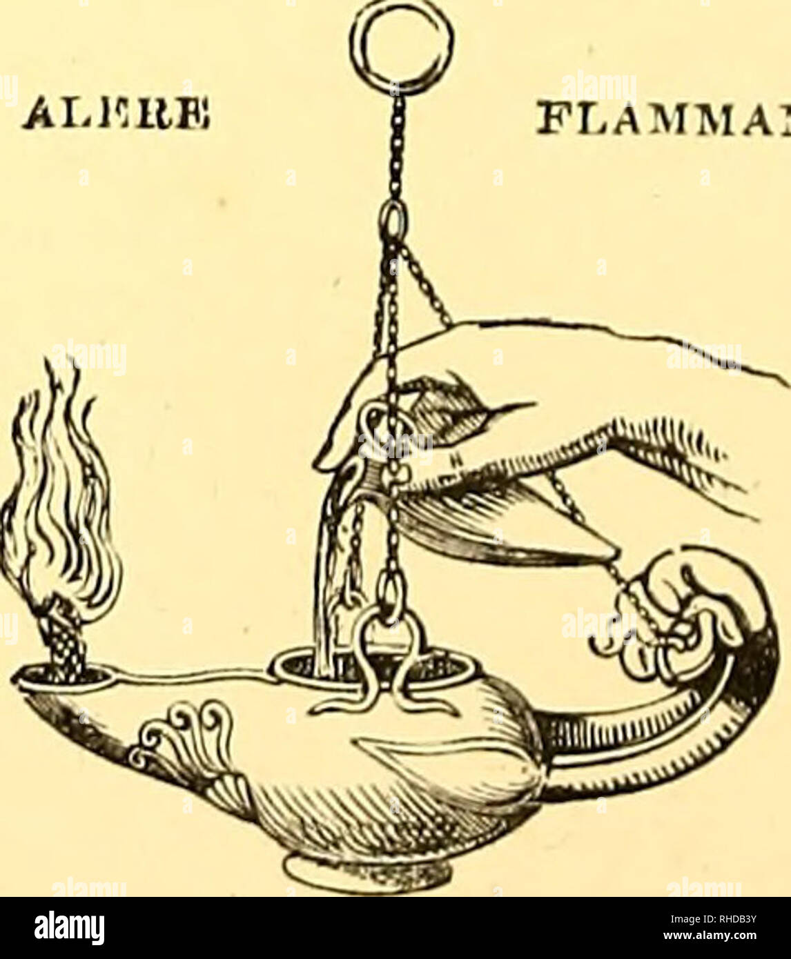 . Le livre d'antilopes. Antilopes. FLAMMAM.. TRINTED PAR TAYLOR ET FRANCIS. J'ai rouge ION,COUNT, Fleet Street.. Veuillez noter que ces images sont extraites de la page numérisée des images qui peuvent avoir été retouchées numériquement pour plus de lisibilité - coloration et l'aspect de ces illustrations ne peut pas parfaitement ressembler à l'œuvre originale.. Philip Lutley Sclater,, 1829-1913 ; Thomas, Oldfield, 1858-1929 ; Wolf, Joseph, 1820-1899, de mauvais ; Williams, Alpheus F. , ancien propriétaire. DSI ; National Zoological Park (U. S. ), ancien propriétaire. La DSI ; Russell E. Africana Collection (Smithsonian Institution. Les bibliothèques) DSI. L Banque D'Images