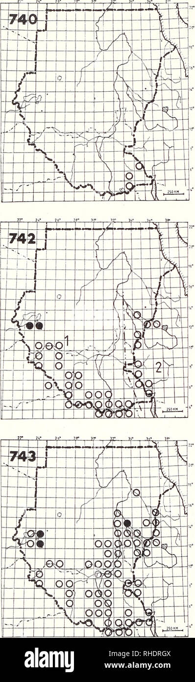 . Bonner zoologische Monographien. Zoologie. 230. 740 Golden Sprague (715) Tmetothylacus tenellus LM ? Suis ? (2) rare NBR grassy arides scrub acacia Remarques : Peut-être un visiteur en saison sèche (Macdonald &AMP ; Cave, 1948 G. Nikolaus) MALACONOTIDAE - PIES-GRIÈCHES BUSH 741 Pink-footed Puffback (1132) Aucune carte Dryoscopus angolensis nandensis R NBR (6) rare forêts primaires jusqu'à 2400 m Remarques : Seulement enregistrés à partir d'Imatong Mts. 3/32, 4/32 (Cave &AMP ; Macdonald 1955, G., M. Traylor) 742 Northern Puffback Dryoscopus gambensis) 1131 (1) D. g. malzacii R LM ? BR 2, 6, 7 meilleurs assez commun avec la forêt Banque D'Images