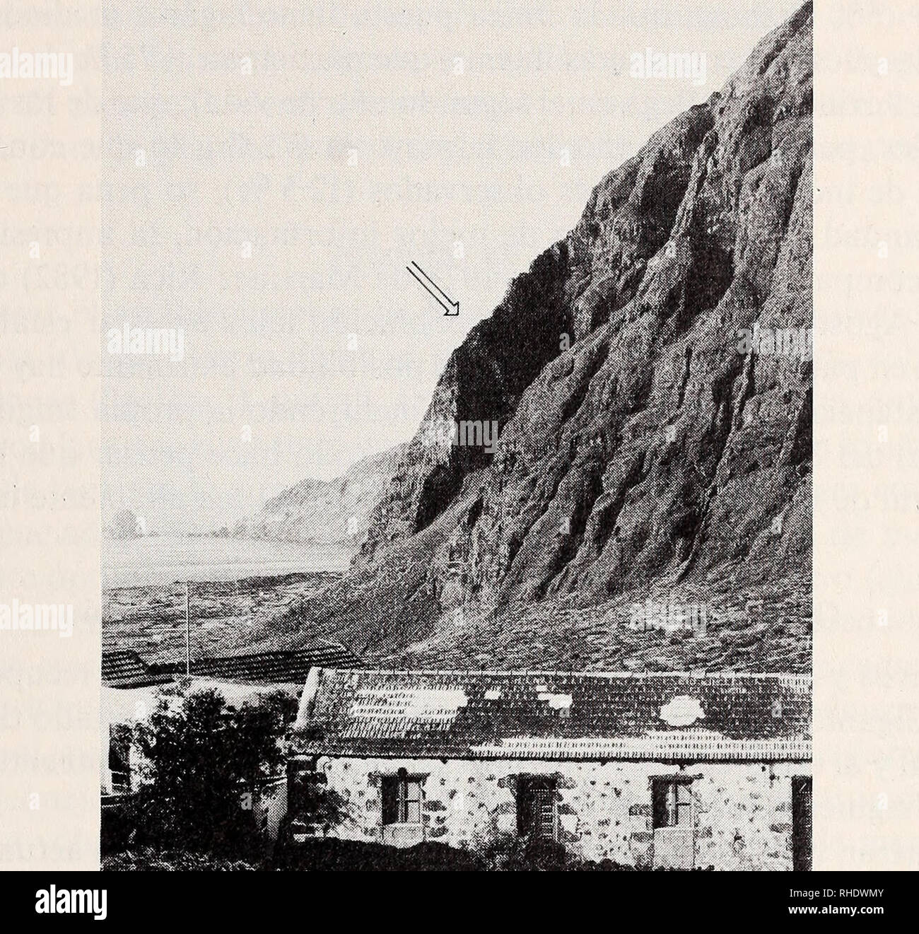 . Bonner zoologische Beiträge : Herausgeber : Zoologisches Forschungsinstitut und Museum Alexander Koenig, Bonn. Biologie ; Zoologie. La recuperación del lagarto gigante 473. Fig. 2 : Fuga de Gorreta en primer plano y Roques de Salmor al fondo (Valle de El Golfo, El Hierro), zona propuesta como Reserva integral de Interés Científico. La flecha señala el lagarto del réelle de l'habitat. Foto A. Machado. la introducción de depredadores alóctonos (perros y gatos) fue la causa princi- pal de la régression de la especie, qué ha quedado reducida a la población de un centenar de escaso individuos, y sobr Banque D'Images