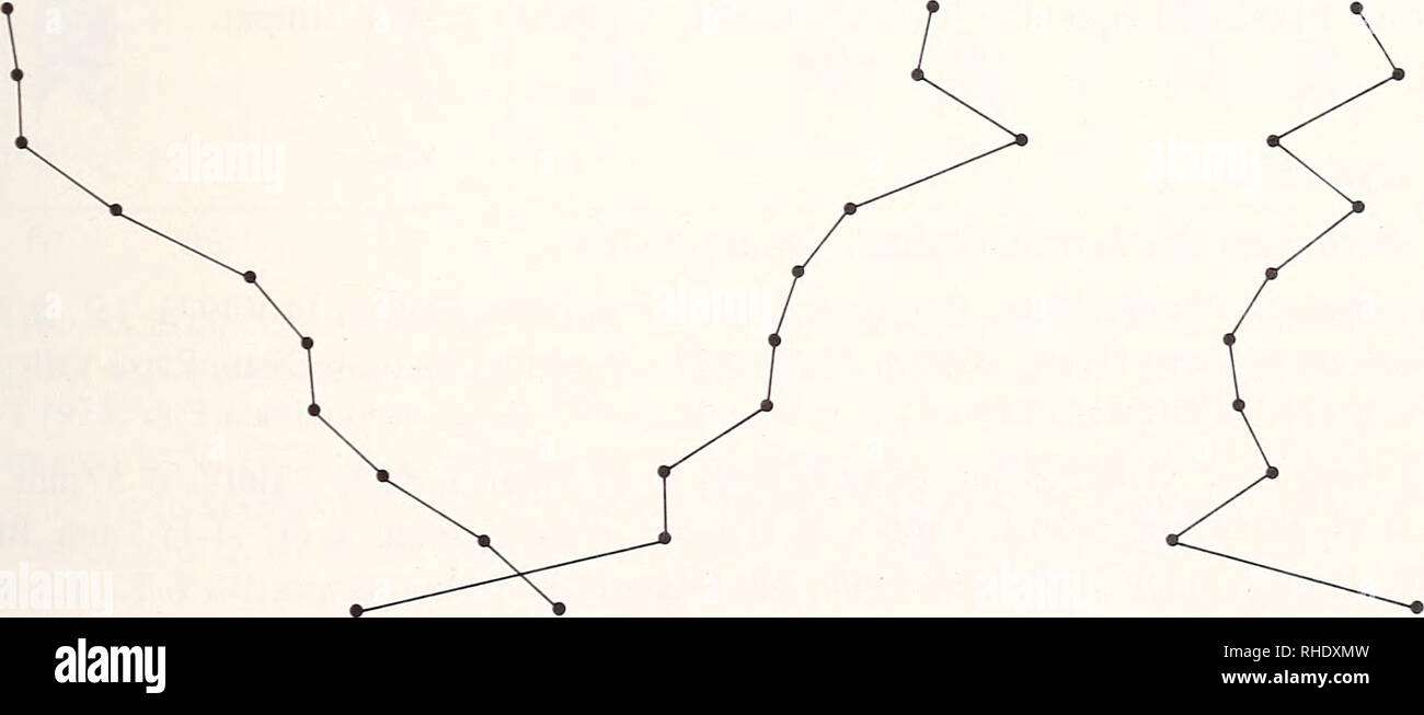 . Bonner zoologische Monographien. Zoologie. 407 Carpodacus 12 espèces ont été trouvés au Népal (nipalensis, erythrimis, pulcherrimus, rhodochrous, vinaceus, rhodopeplus, thura. rubicilloides, rubicilla, puniceus, edwardsii, rubescens) ; au moins 10 s'y reproduire, et probablement les rares edwardsii rubescens et faire de même. Le genre est d'origine paléarctique ; aucune espèce s'est adaptée à des climats tempérés et subtropicaux formations forestières, en dessous de 3000m (Martens, 1984). L'aire de reproduction de toutes les espèces ensemble a une étendue verticale d'environ 2200 m, avec sa limite supérieure à un peu plus de 5200 m (punice Banque D'Images