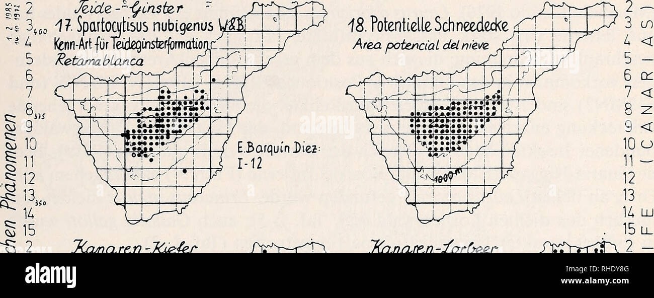 . Bonner zoologische Beiträge : Herausgeber : Zoologisches Forschungsinstitut und Museum Alexander Koenig, Bonn. Biologie ; Zoologie. Tinerfenischer Areale und Tiere 271 ;5 ¿ 5 6 7 8 A B C D G H I EcF" Cfinstzr Jiidz --11 Spartoo/Usus nubigenus j$ kenn-TeidegCnsterformatioi Retarm Art blanca M N CLP BCDEFGH1JKLMN0 (Québec). '° ^6 8  S TCcunarcn -Jó&amp;fer 19. Finus canariensis Chr.SM. Kenn-Artfür KanarenKiejemwatd P/ino canario. Veuillez noter que ces images sont extraites de la page numérisée des images qui peuvent avoir été retouchées numériquement pour plus de lisibilité - coloration et apparition de t Banque D'Images