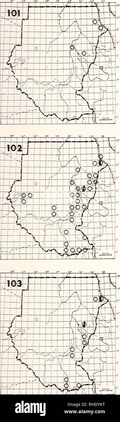 . Bonner zoologische Monographien. Zoologie. * 45. 101 (137) de l'aigle impérial Aquila heliaca heliaca H (1-3) avec de rares prairies ouvertes et bagués plains Remarques : Il n'y a quatre records d'im- les oiseaux adultes basé sur skins et une voiture casualty (Musée de Khartoum, G. Nikolaus) 102 (138) de l'Aigle des steppes Aquila nipalensis ohentalis Pil (9-4) UN W S en saison très commun (à l'Est du Nil) Les prairies ouvertes, les terres agricoles et savane bush Remarques : Dans quelques années, un grand nombre se concentrer dans le régime de Rahad à partir de février, de printemps à grande échelle le pas- sage le long de la Mer Rouge à Erkowit, très peu de dossiers d'automne Les 103 Banque D'Images