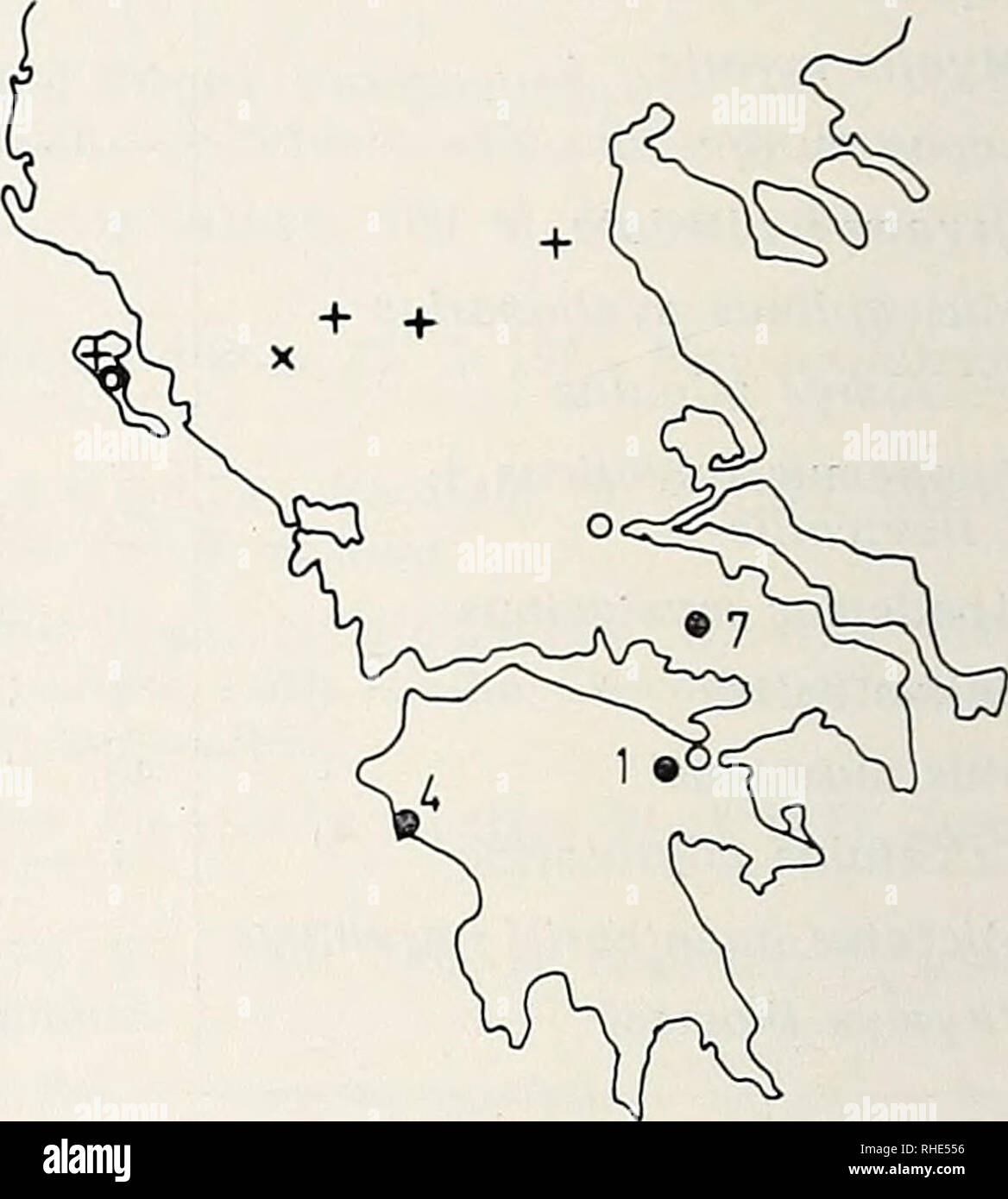 . Bonner zoologische Beiträge : Herausgeber : Zoologisches Forschungsinstitut und Museum Alexander Koenig, Bonn. Biologie ; Zoologie. 32 J. Niethammer Bonn. Zool. Beitr. Side-Katara-PaIoannina-ß-Meteora-Klöster (Feiten und Storch 1965)- Olymp (Stein 1960) markiert die zur Zeit der bekannte Südgrenze l'art en France (ABB. 1). Le Suncus etruscus Vom griechischen Festland waren bisher nur zwei Vorkommen bekannt : Akrokorinth (Wettstein) und Lamia (Miller). Die Funde dans Gewöll 3 von 10- serien zeigen, dass die dans Etruskerspitzmaus zumindest tiefen- chenlands verbreitet Lagen grie, wenn auch nicht häuf Banque D'Images