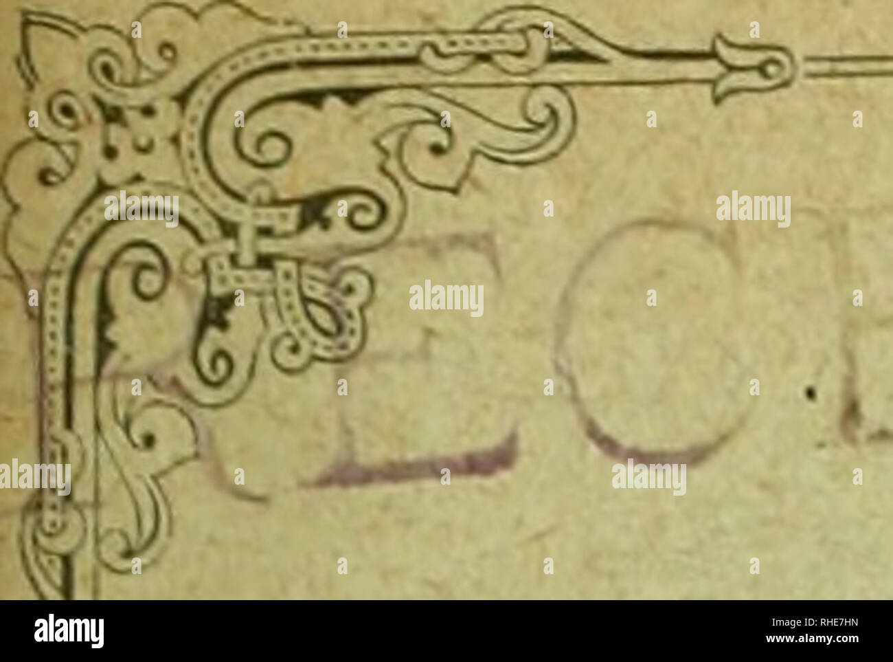 In Dal Er Banque D Image Et Photos Alamy