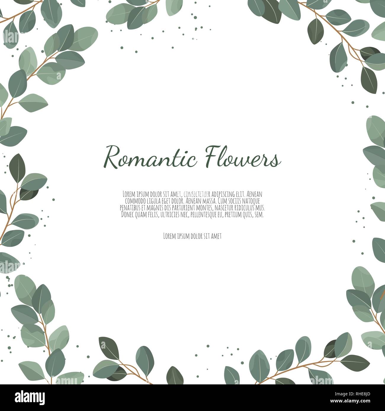 Silver Dollar Eucalyptus feuilles branches vert feuillage, border, cadre. Illustration de Vecteur