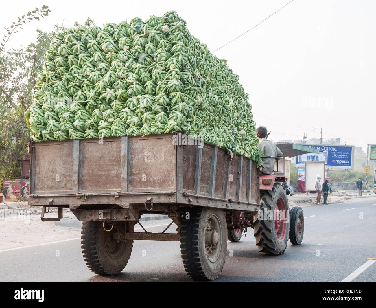 Le tracteur tirant une remorque chargée avec le chou-fleur dans l'Uttar Pradesh. Des charges énormes sont une vue commune sur les routes de l'Inde. Banque D'Images