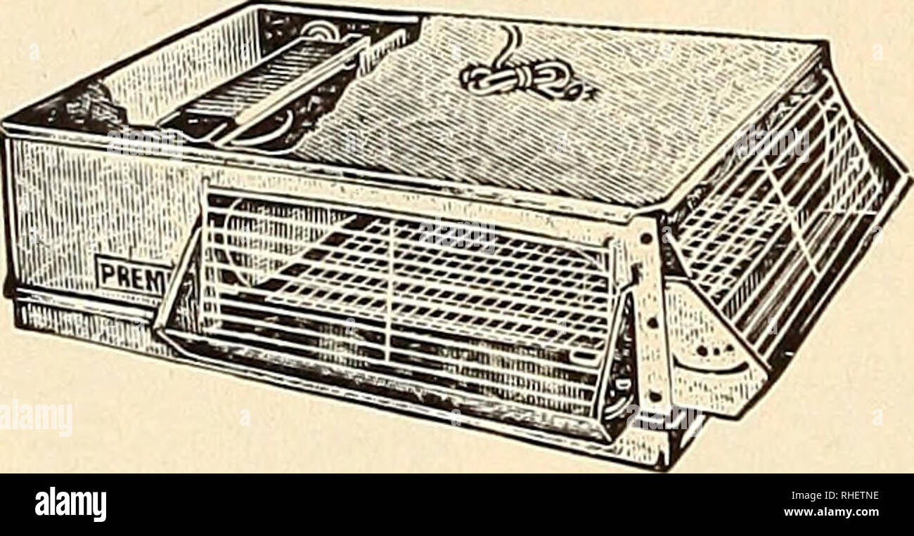 . Bolgiano's capitol city seeds. Pépinières (Horticulture) ; catalogues de bulbes (plantes) ; Catalogues Catalogues légumes ; outils de jardin ; Catalogues Catalogues de graines. Nouveau Premier Deluxe Starter Poussin. No 302. Réflecteur en aluminium. 200 watts chauffe-Chromalox, meublées avec des rayons chauffage infra-rouge. Interrupteur Micro wafer et contrôle. Châssis galvanisé de calibre 24. Les}^ la taille 32 x 40 x 11|4^ J en. Chambre 9*4 de la tête. Top amovible, laissant tomber la poêle et 3 aliments pour animaux et les abreuvoirs. Régler- capable des barbecues. Les 6 pieds de l'Underwriters Laboratories approuvé alimentation et la fiche. Lourd spécial (chrome-like) fil tissé plaqué marbre. Poids 4 Banque D'Images