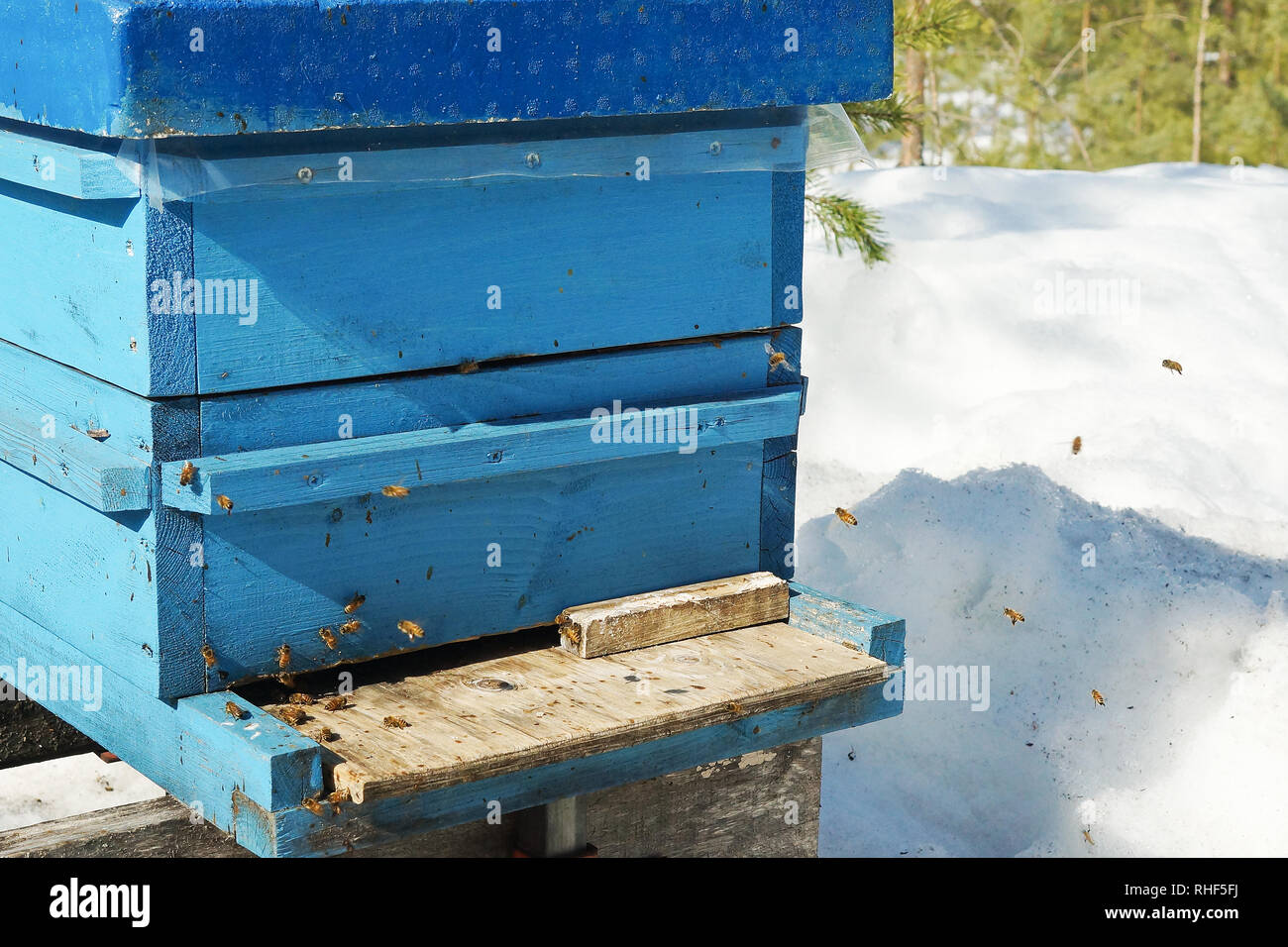 La production de miel Banque D'Images