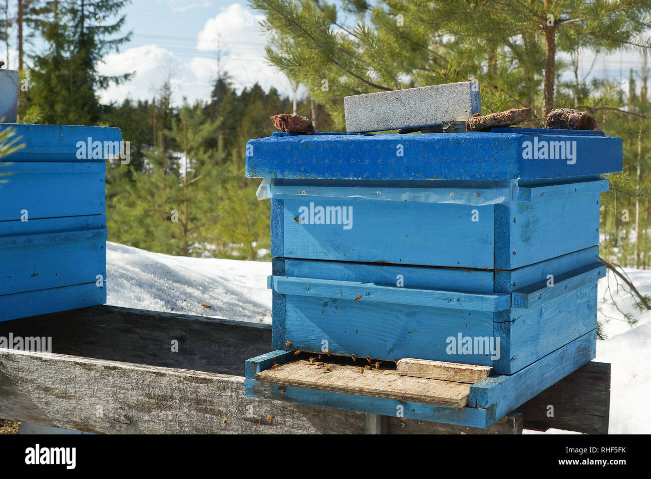 La production de miel Banque D'Images