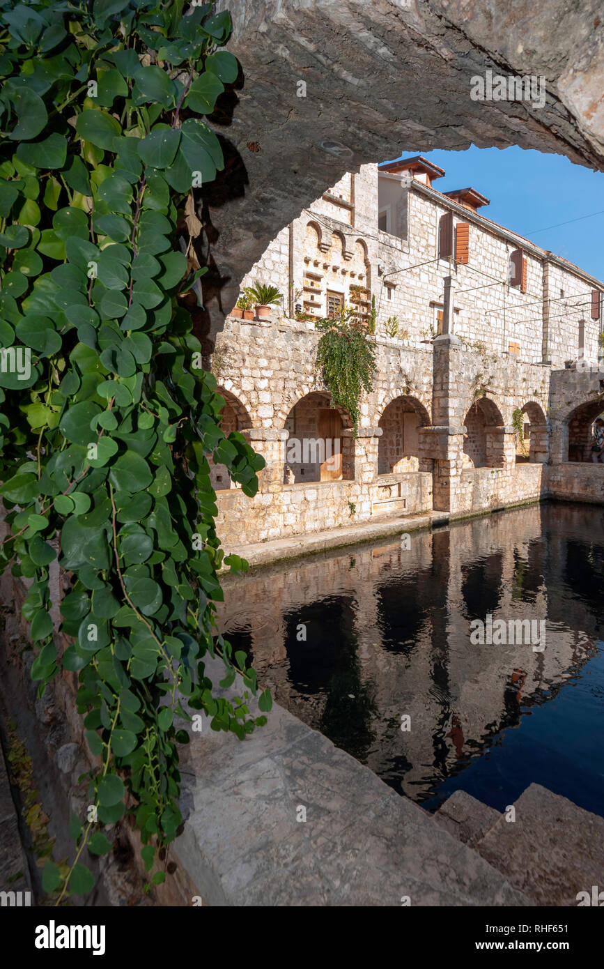 Les poissons d'eau salée extérieure à Tvrvalj Château, Stari Grad, en Croatie, la maison d'été de Pierre Hektorovic Banque D'Images
