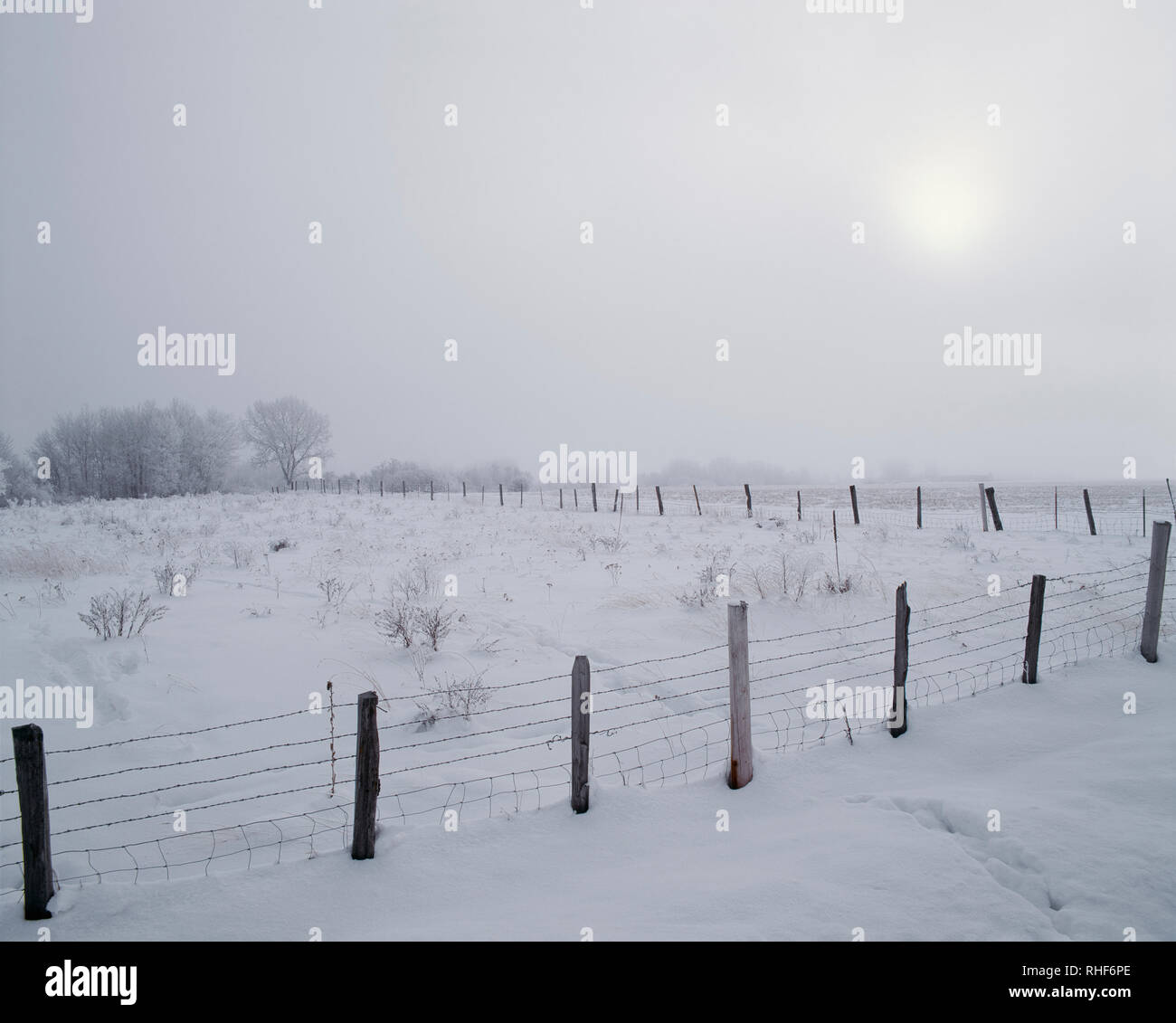 USA, Ohio, Wallowa Comté, brumeuse, champ couvert de neige. Banque D'Images