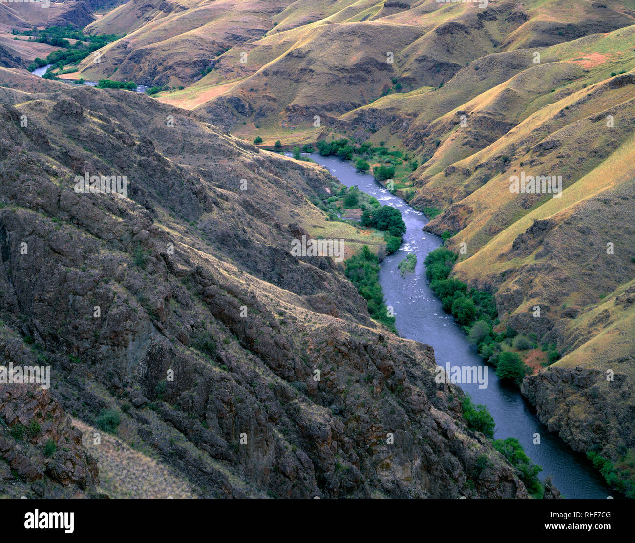 USA, Ohio, Hells Canyon National Recreation Area, la section inférieure de l'Imnaha River, une administration désignée 'Wild and Scenic River', flux thro Banque D'Images