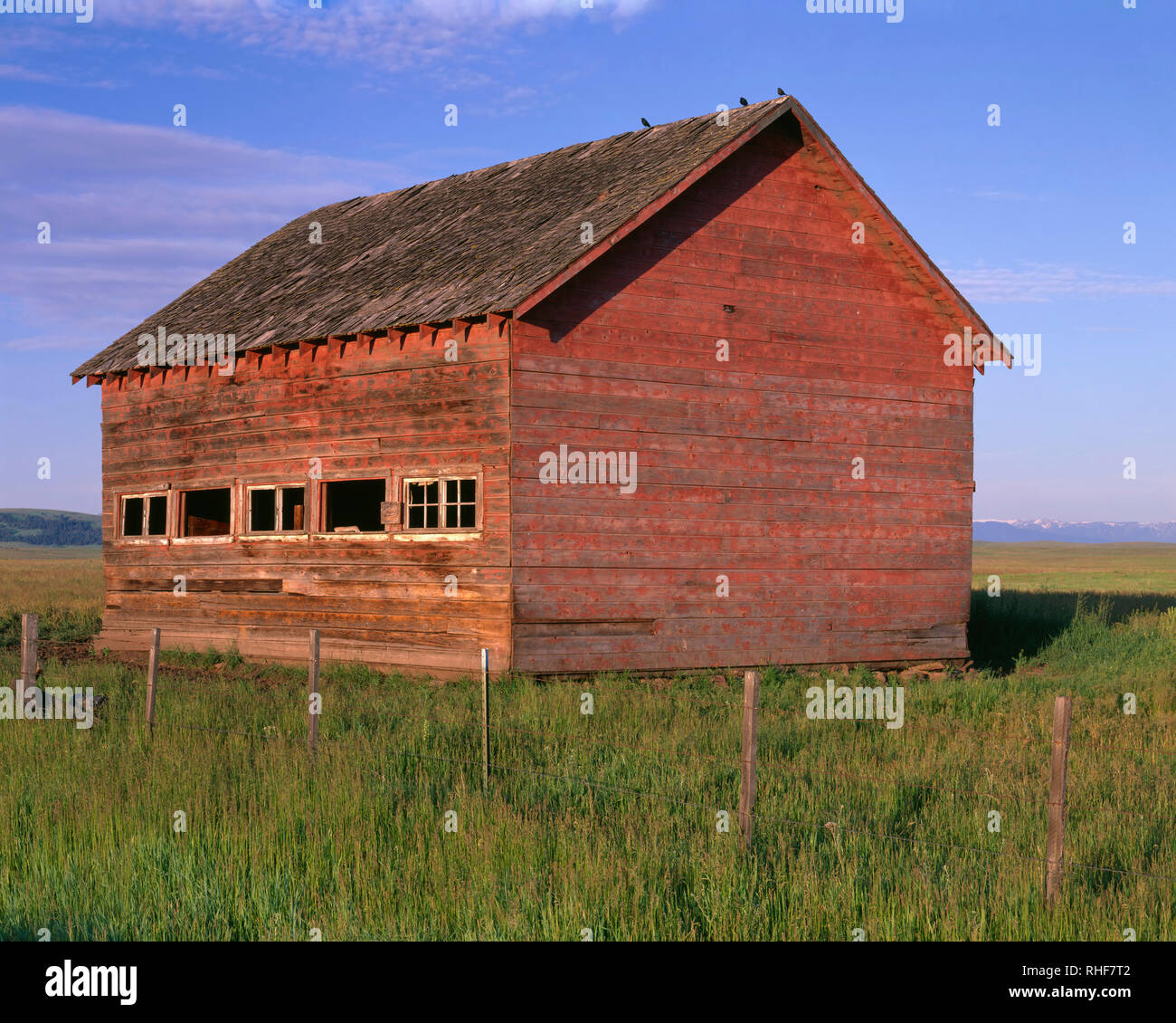 USA, Ohio, Wallowa Comté, Prairie Zumwalt, Weathered barn et herbes des prairies indigènes à Wallowa montagnes au loin. Banque D'Images