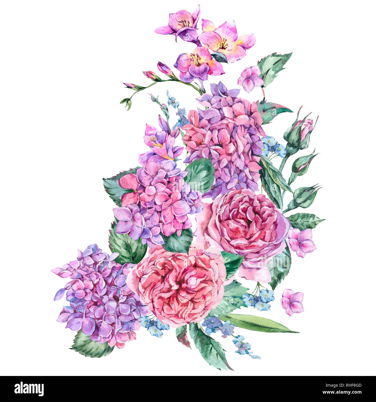Aquarelle d'été Vintage Bouquet de fleurs Hortensia, Freesia, Roses, fleurs, jardin botanique Aquarelle illustration isolé naturel o Banque D'Images