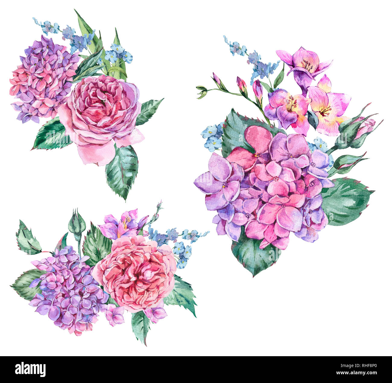Ensemble d'Aquarelle Vintage Bouquet floral de fleurs de l'hortensia, Freesia, des roses, des fleurs de jardin collection naturel isolé sur fond blanc Banque D'Images