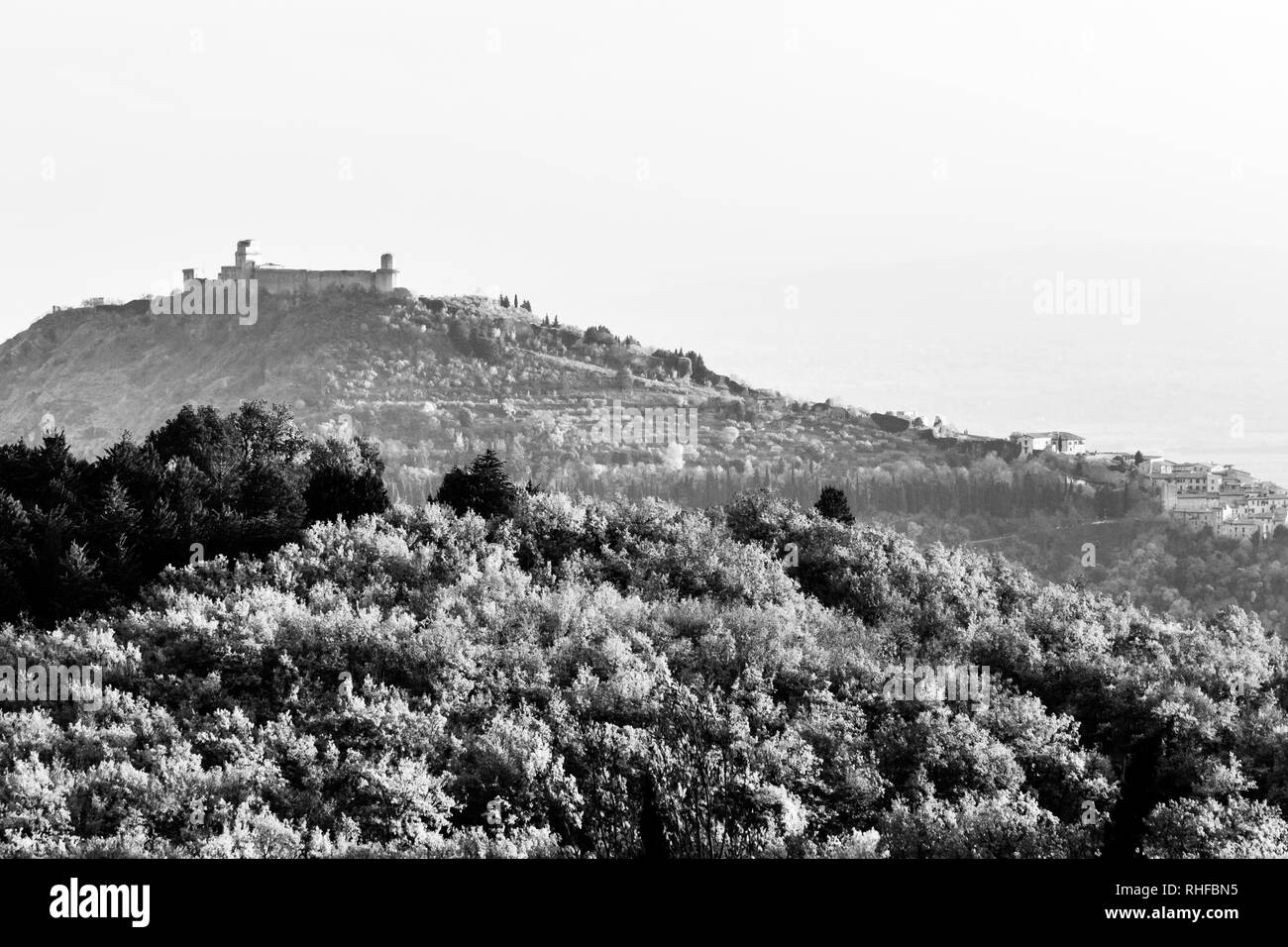 Belle vue sur la ville d'assise (Ombrie) et St.Francis chirch en automne à partir d'un lieu atypique, derrière une colline avec des arbres Banque D'Images