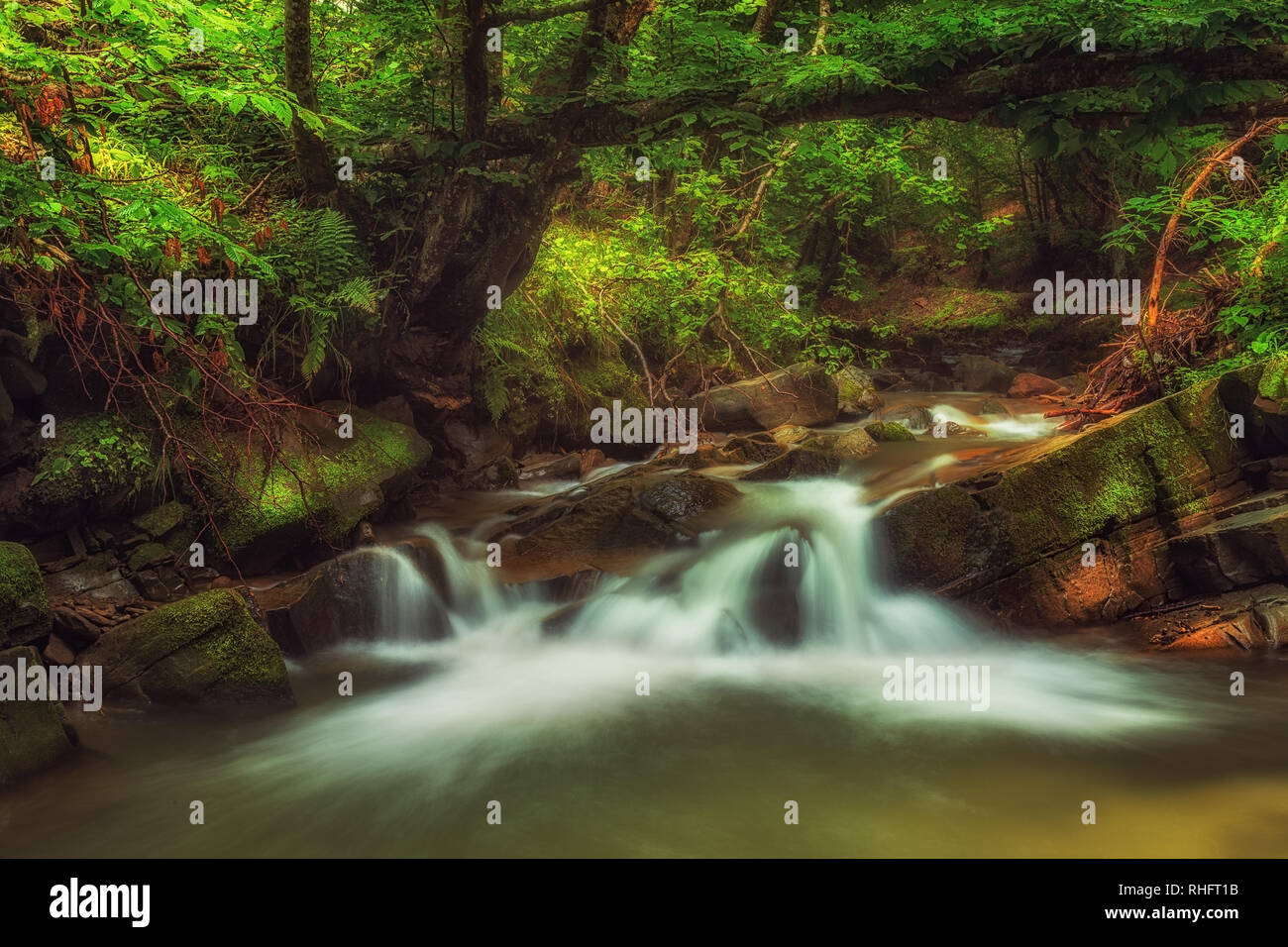 Petite cascade formée dans une profonde forêt verte Banque D'Images