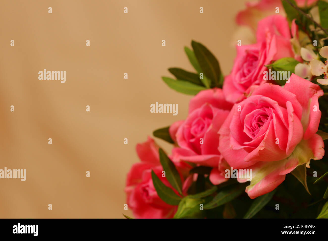 Bouquet de fleurs rose romantique rose Banque D'Images