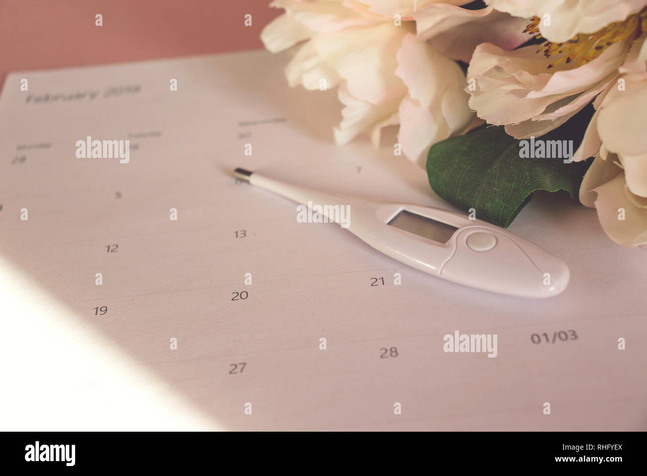 Calendrier d'Ovulation avec de faux pivoine rose et thermomètre Banque D'Images