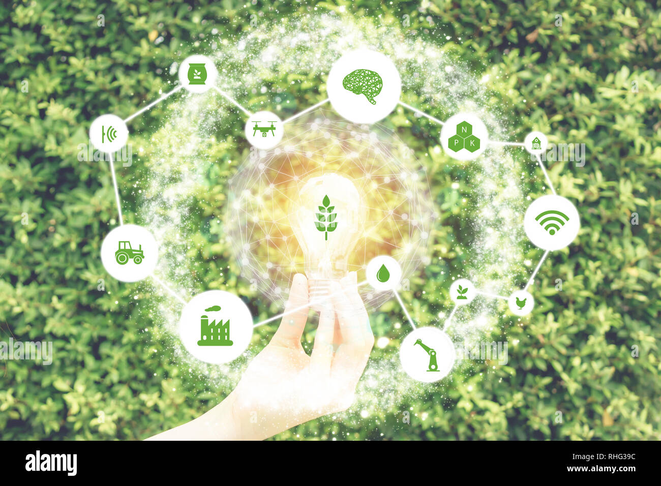 Iot, internet des objets,agriculteur agriculture concept, Smart farm avec icône Robotique Intelligence Artificielle (AI)/ utilisation pour le contrôle de gestion , , monitori Banque D'Images