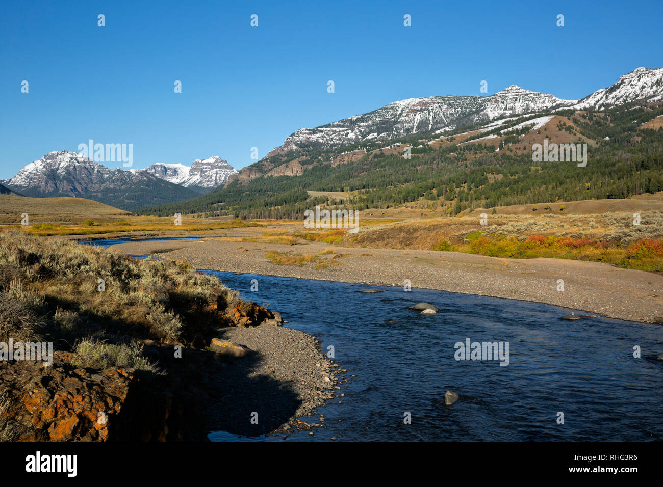 WY03093-00...WYOMING - Soda Butte Creek dans la région de Lamar Valley Parc National de Yellowstone. Banque D'Images