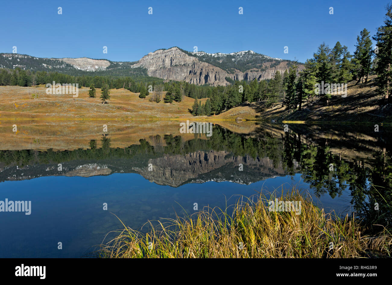 WY03095-00...WYOMING - collines se reflétant dans le lac Trout situé dans la vallée de Soda Creek Parc National de Yellowstone. Banque D'Images