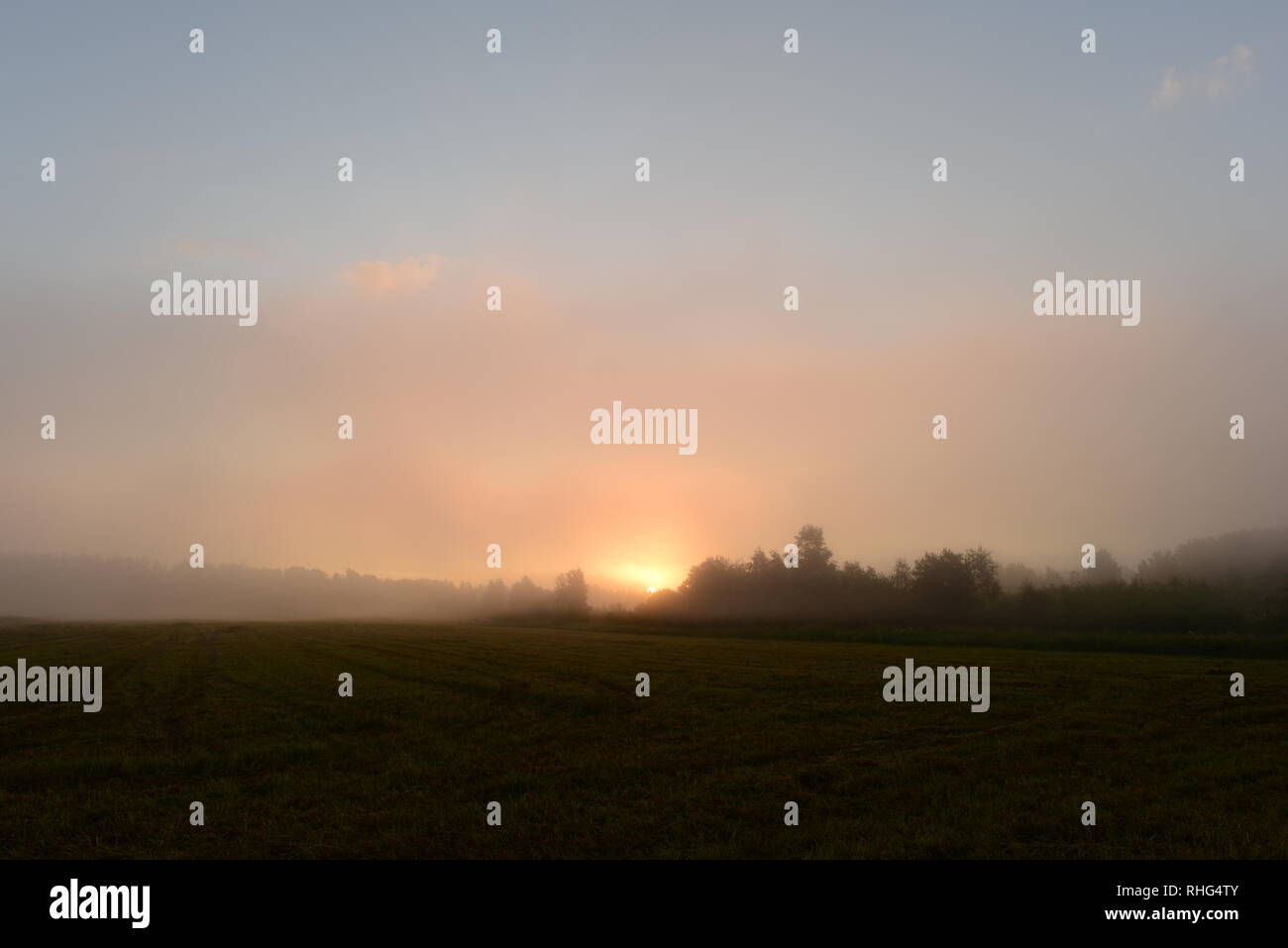 Lever de soleil dans la brume du matin sur le champ fauché au-delà de la forêt Banque D'Images