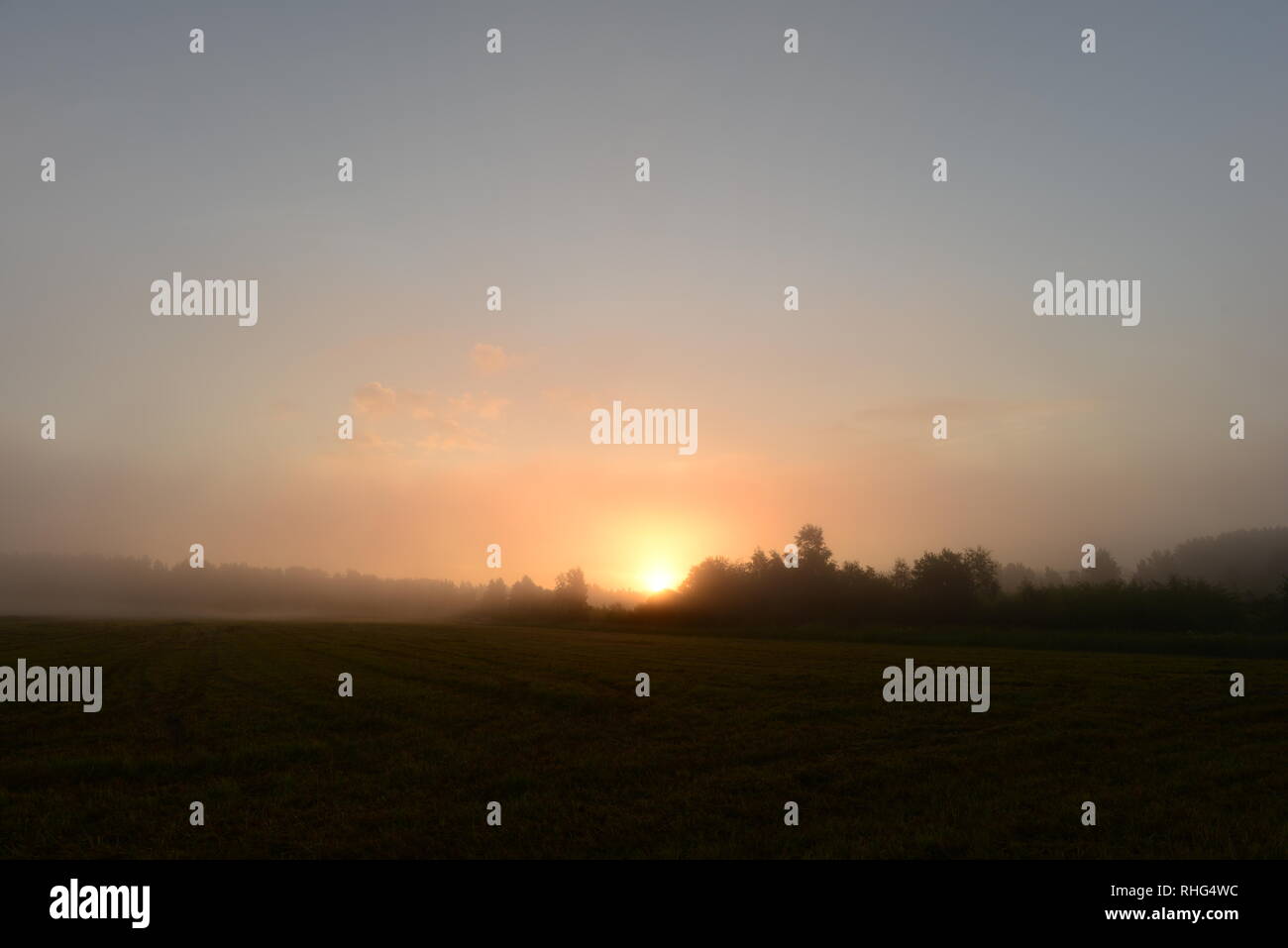 Soleil rougeoyant à travers la brume du matin brume sur le champ Banque D'Images
