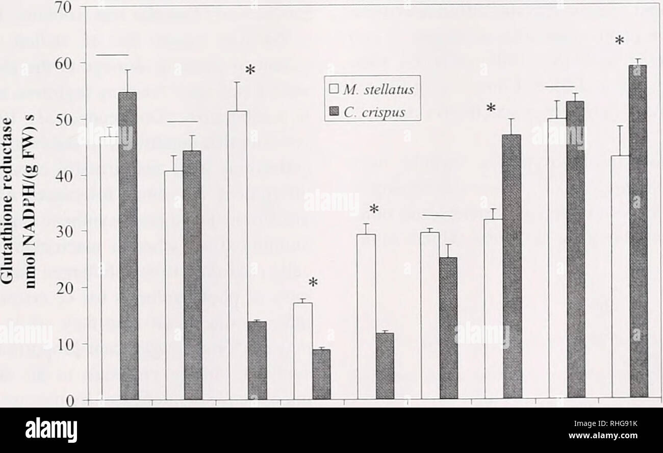 glutathion peroxydase Cycle de la glutathion peroxydase. GPX : glutathion peroxydase, GR :