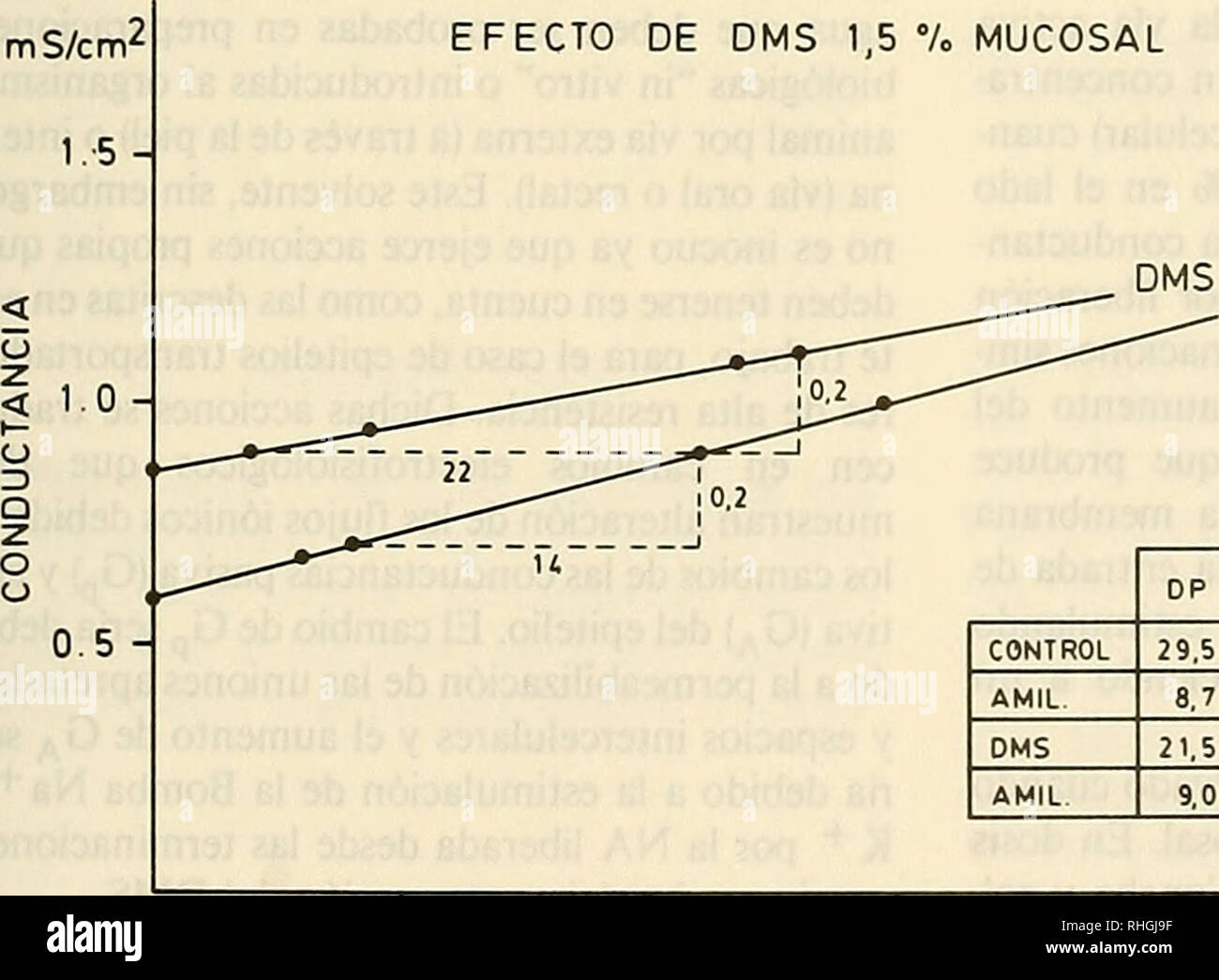 . Boletin de la Sociedad de Biología de Concepción. Sociedad de Biología de Concepción ; biologie ; la biologie. Bol. Soc. Biol. Concepción, au Chili. Tomo 61, 1990 mV 50 -50 de vérification 0--4Ü 30--30 20--20 10--10 I M I ^ J I DP, mV íí^,CCC pA/cm2 m GT,rT,S/cm2 J'ai ^ NS mS/cm2 - 1,0 -0,8 0,6 -0,4 0,2 0,0 [antes de D.M.S. Después de D.M.S. Efecto de D.M.S. Schéma de la muqueuse. 9.- Estudio estadístico de la acción de dimetiisulfóxido (DMS) 1,5 % sobre muqueuse abdominale piel aislada de Pleurode- ma thaul. ** P&Lt ; 0,01 ; NS  = sin cambio significativo, n  = 8 1,5 7 DMS EFECTO DE LA MUQUEUSE". La CCC DP contrôle Oa 6t 6p 2 CONTRÔLE Enq Banque D'Images