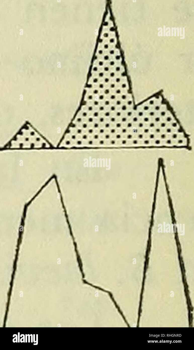 . Boletin de la Sociedad de Biología de Concepción. Sociedad de Biología de Concepción ; biologie ; la biologie. ^ ^ík. o-'rT =i i i 1 I I I I I M J 5 N E M • •, Grupo A (JV qJ y ?^ ^^ Cí&Lt ; I 1 1 1 1 1 1 I 1 I I 1 1' J S N E M ./, Gr'jpo B. (fsf o-^j ! J'ai 1 lili enT- M J S M E M [k 0-1, , , r' 1 i ri I I 1 o M J S M E M (^ 1 J'í I I 1 I R M J 3 IJ F M. QconB laevis chicos Con B-Uevis grandes y O J| UN (i i i 1 III O-'i 1 I I c-r1 i i i i-ConB ^ MJSNEM MJSNEM laevis grandes chicos ES ^ 9. Abundancia relativa de ejemplares con diferentes epibiontes en su caparazón ; Sp : Spirorbinae ; Br : Bryozoa ; B : Ba Banque D'Images