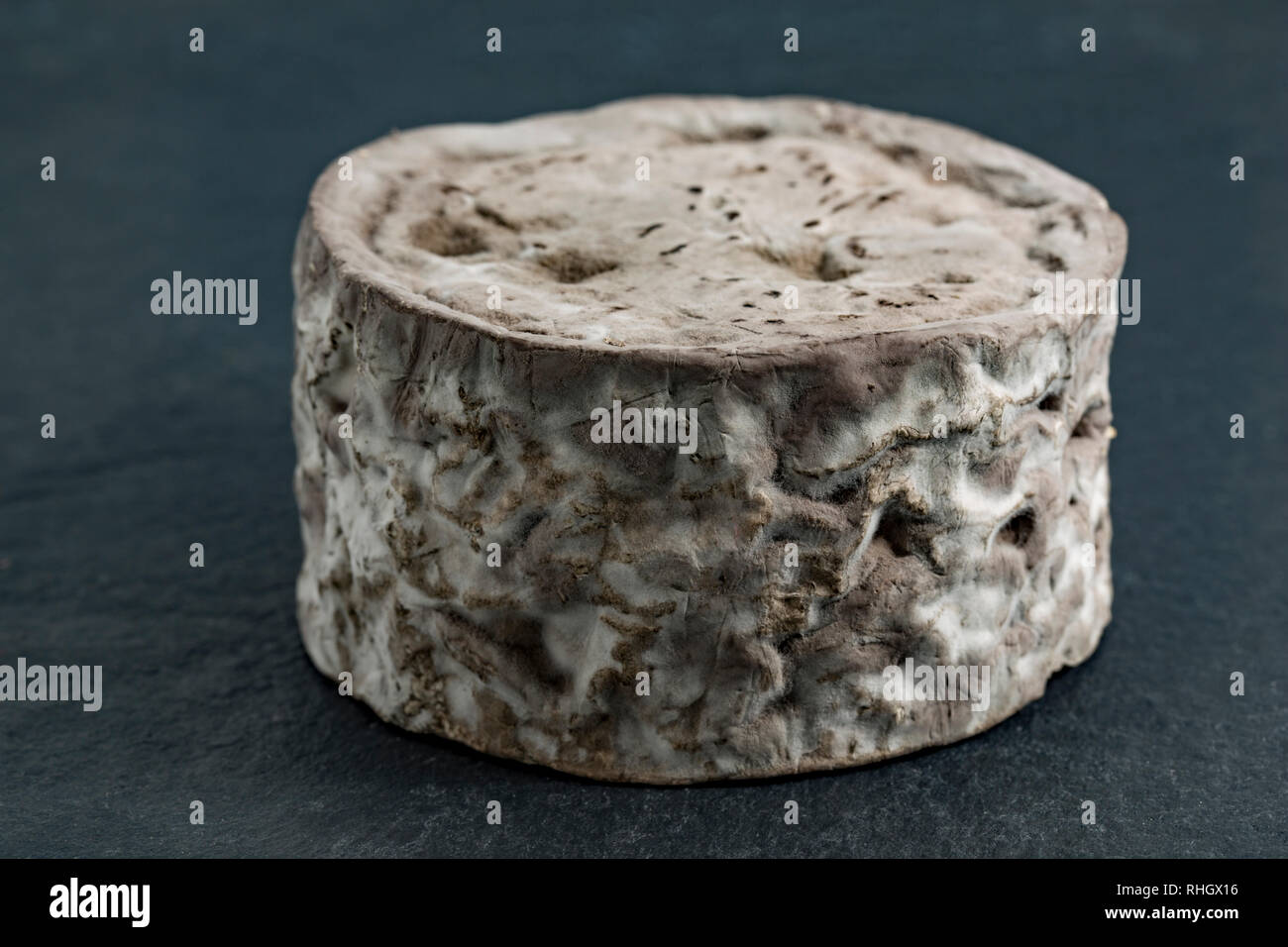 Les fromages à moisissures Shepherds Purse Bluemin fromage blanc fait à partir de lait de vache du Yorkshire. Photographié sur un fond foncé, ardoise. England UK GO Banque D'Images