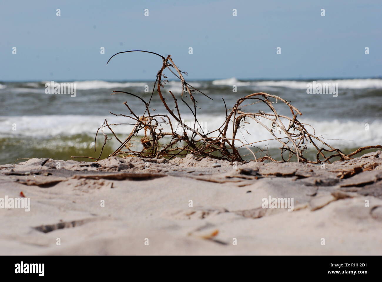 Plage de sable, mer Banque D'Images