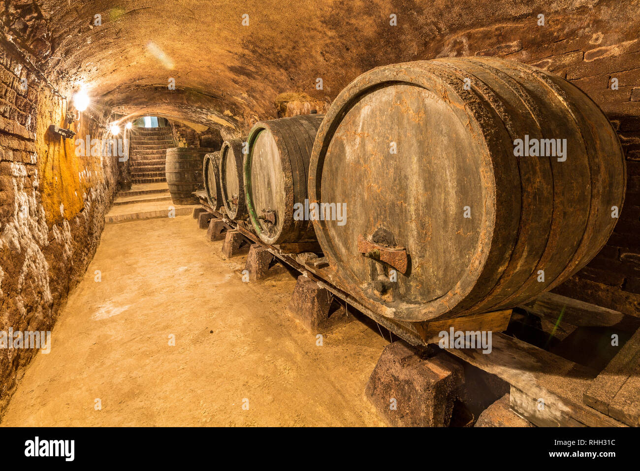 Vieille et une cave à vin traditionnelle avec tonneaux Banque D'Images
