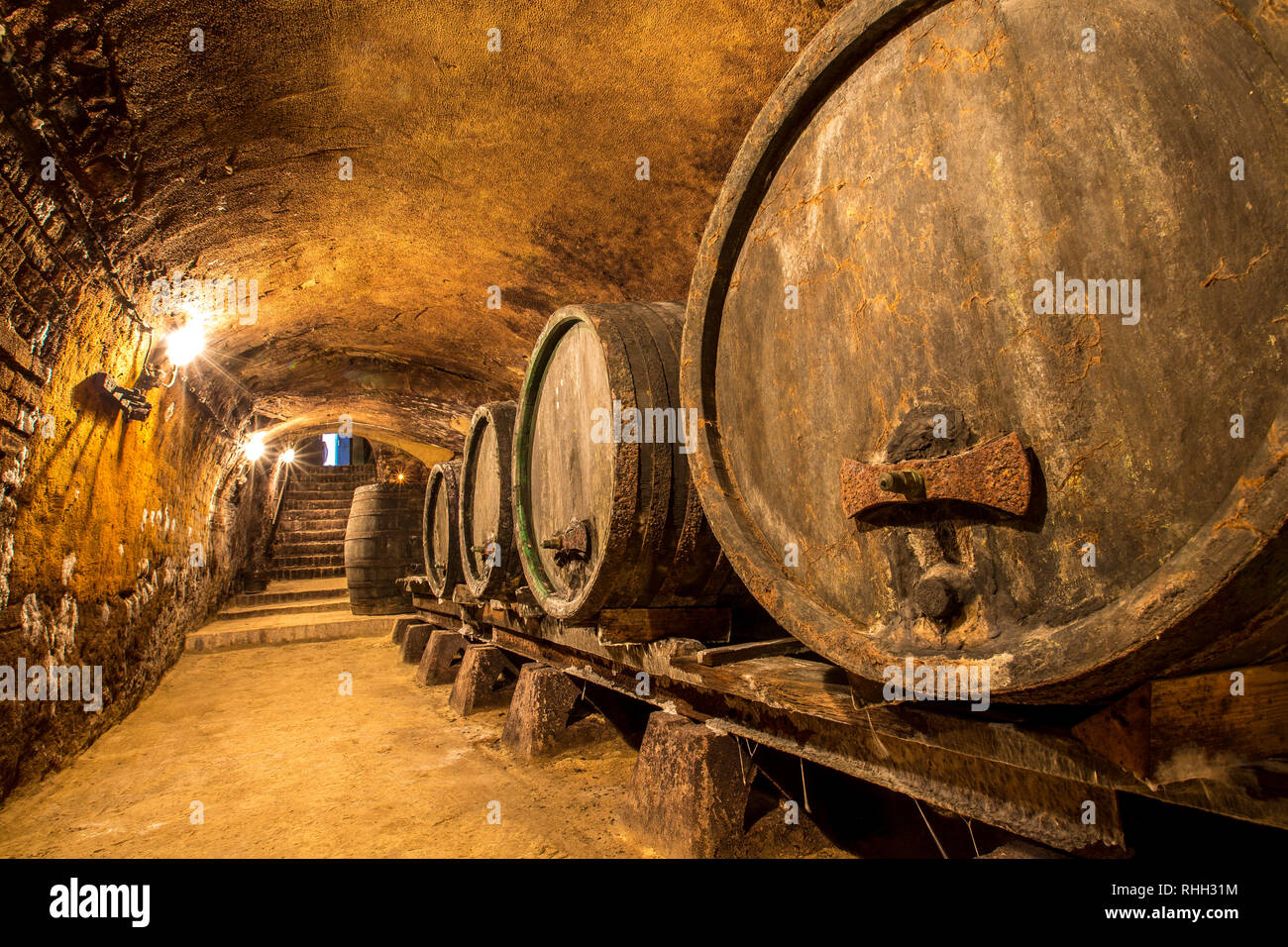 Vieille et une cave à vin traditionnelle avec tonneaux Banque D'Images