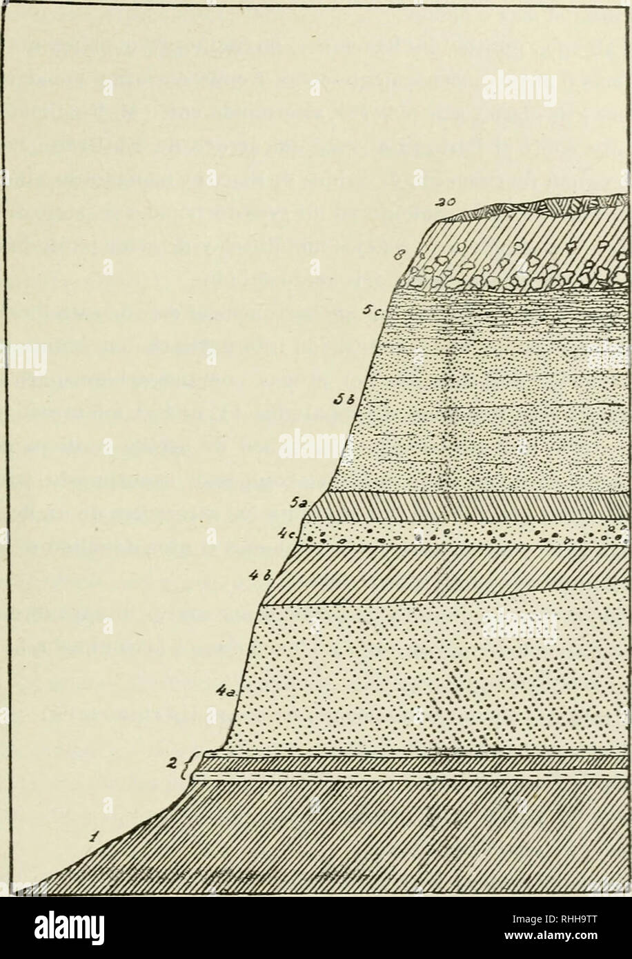 . Boletin de la Academia Nacional de Ciencias. La science ; la science -- l'Argentine. (Íeulogia eíítke de kios. Fig. 11. - Banama al-'esti del Puerto Nuevo :.sateU¡- tes ; 4 a, entre del Médano- niense ; ib. estratificadas arcillas del anterior ; 4c. Arenas del mis cusjiidales- mo, con ictiolitos y cantos rodados de playa ; Ha, arcilla del ríonegi eutiliser teiTestre : 5-je" ocráieas iíone, Arenas del&lt;íi'eutiliser lluvial ; 5 c. j)arte euspidal de las anteriores, bien e.stratiti( nda en capitas delgadas : S. arcilla lacustre "leí arau- canense^oncreciones con t calcáreas : 'JO. de l'humus. Escala  = 1 vertical : CRDI.. P Banque D'Images