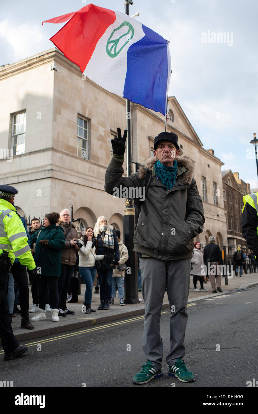 Londres, Royaume-Uni. Feb 2019 2ème. Jaune se sont réunis dans les rues de Londres à l'appui du Brexit. Credit : Victor/Storublev Alamy Live News Banque D'Images