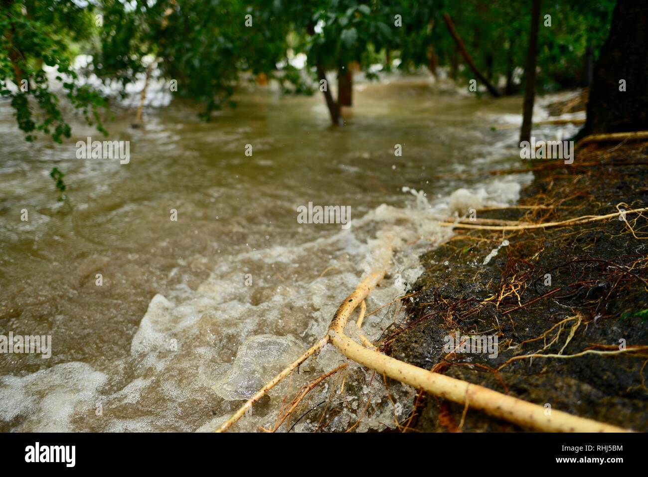 Le Queensland, Australie. 3 février 2019. L'inondation a continué de s'aggraver à mesure que le déluge a continué et plus d'eau a été libéré de l'enflement du barrage de la rivière Ross pour empêcher l'échec de la mur de barrage. Crédit : P&F Photography/Alamy Live News Banque D'Images