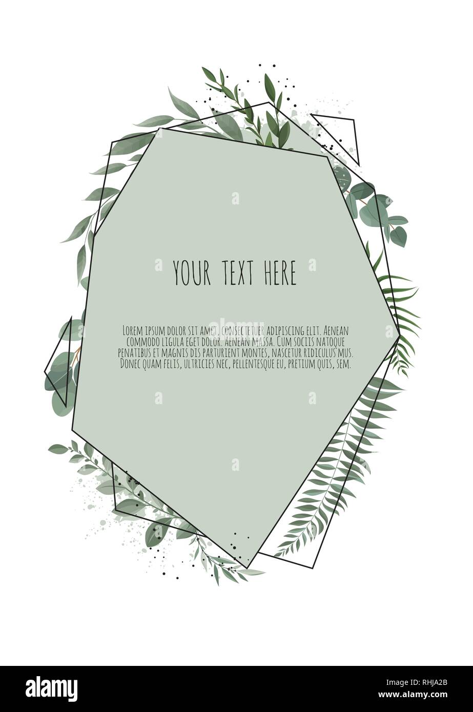 Silver Dollar Eucalyptus feuilles branches vert feuillage, border, cadre. Illustration de Vecteur