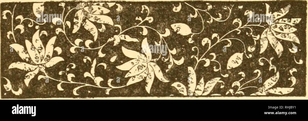 . Les chansons sur Worcester. Par Harry Nelson Leverett, chants d'oiseaux ; h. VII. Chanteurs en plein été. Worcester, 2 juillet 1887, STH. Cher Monsieur l'éditeur, - avec la plupart des oiseaux, leur chant est limitée à la saison de l'accouplement et de la nidification. Après les jeunes oiseaux ont quitté le nid, les parents généralement devenir silencieux. Qui a jamais entendu la chanson joyeux, jaillissant du goglu au mois d'août, ou même après le milieu de juillet ? Un tel événement serait en fait un étrange et inexplicable phénomène- phe, pour le goglu font toujours très attention à ce que leurs jeunes et à part entière de la ne Banque D'Images