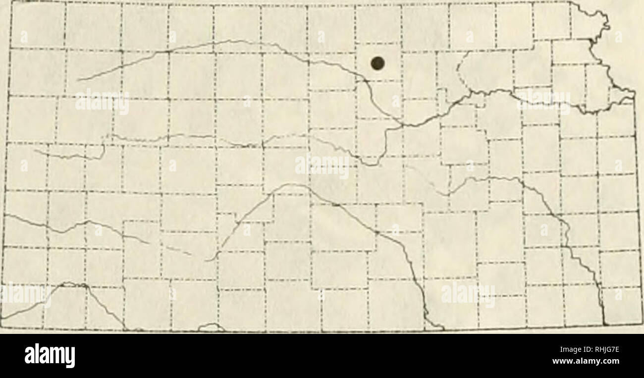 . Les oiseaux dans le Kansas. Les oiseaux -- Identification du Kansas. 377 Pic de Williamson Sphyrapicus thyroideus (Cassin) Statut : il n'y a qu'un enregistrement du Pic de Williamson, celui d'un homme adulte vu à l'Université Concordia, comté de Cloud, le 4 avril 1935, par le Dr J. M. Porter. Thompson lire Le Dr Porter's journals au Musée d'histoire naturelle à l'Université du Kansas, mais Porter avait décrit pas de prune- âge dans ses notes sur cette journée. Bien que cette espèce a été vu à l'est jusqu'à Chicago, il est rarement vu hors de la région des Rocheuses. Cette vue est ouvert à la question, et t Banque D'Images