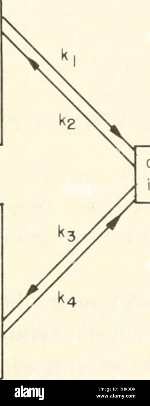 . Biophysique : concepts et mécanismes. La biophysique. L'ordinateur dans le domaine de la recherche biologique 311 où a est l'activité en  % de la valeur initiale, et k le taux spécifique de perte ou de fer, en heures-1. Valeurs d'un ; pour différentes questions sont données dans le tableau 11-1. u ki v k3 w fer à repasser l'échange avec le plasma mais ne va pas directement dans les globules rouges du fer dans le système précurseur des globules rouges toutes les k2 du fer dans le plasma -k&Lt ; k5 (a) l'échange de fer avec du plasma, mais pas avec le fer de globules rouges, de la phase de stockage (fer) l'échange de plasma et d'aider à la pause- vers le bas de globules rouges (retic Banque D'Images