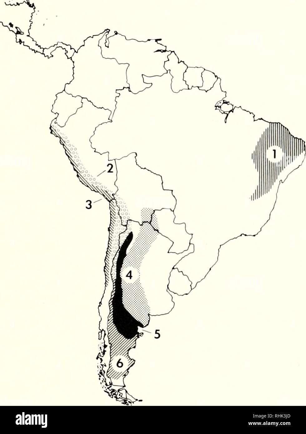 . Biologie de l'hétéromyidés. Hétéromyidés. PANDESERTIC 659 L'ÉCOLOGIE DES RONGEURS. Fig. 11.-Les principales zones arides et semi-arides domaines d'Amérique du Sud : 1), 2) de caatinga, Puna 3) Sechura-Atacama 4), Chaco, 5) Monte, 6) Pa- tagonia. 33°S de latitude, une distance de plus de 3 700 km, divers aspects de la Pe et du Chili- ruvian déserts ont récemment été revues (Borgel, 1973 ; Rauh, 1985). Comme la plupart des domaines, de l'ert- il y a une grande variété d'habitats dans la région ; l'aridité s'étend du niveau de la mer à environ 2 500 m d'altitude le long des pentes ouest- em Communauté andine. Le plus notable des grandes étendues de basses et de l'habitat, h Banque D'Images