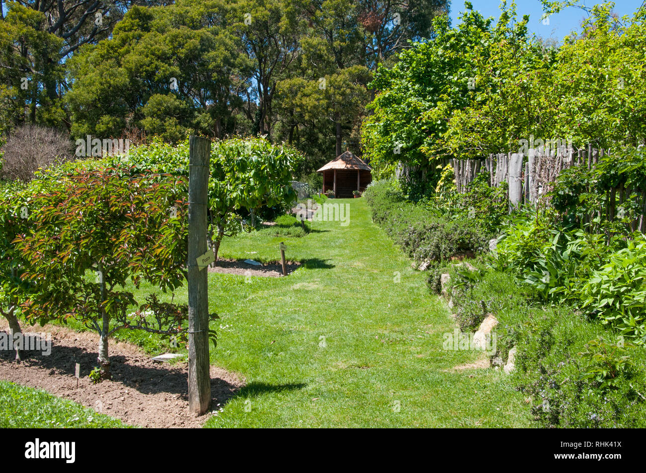 Jardin de St Erth, Blackwood, Victoria, Australie Banque D'Images