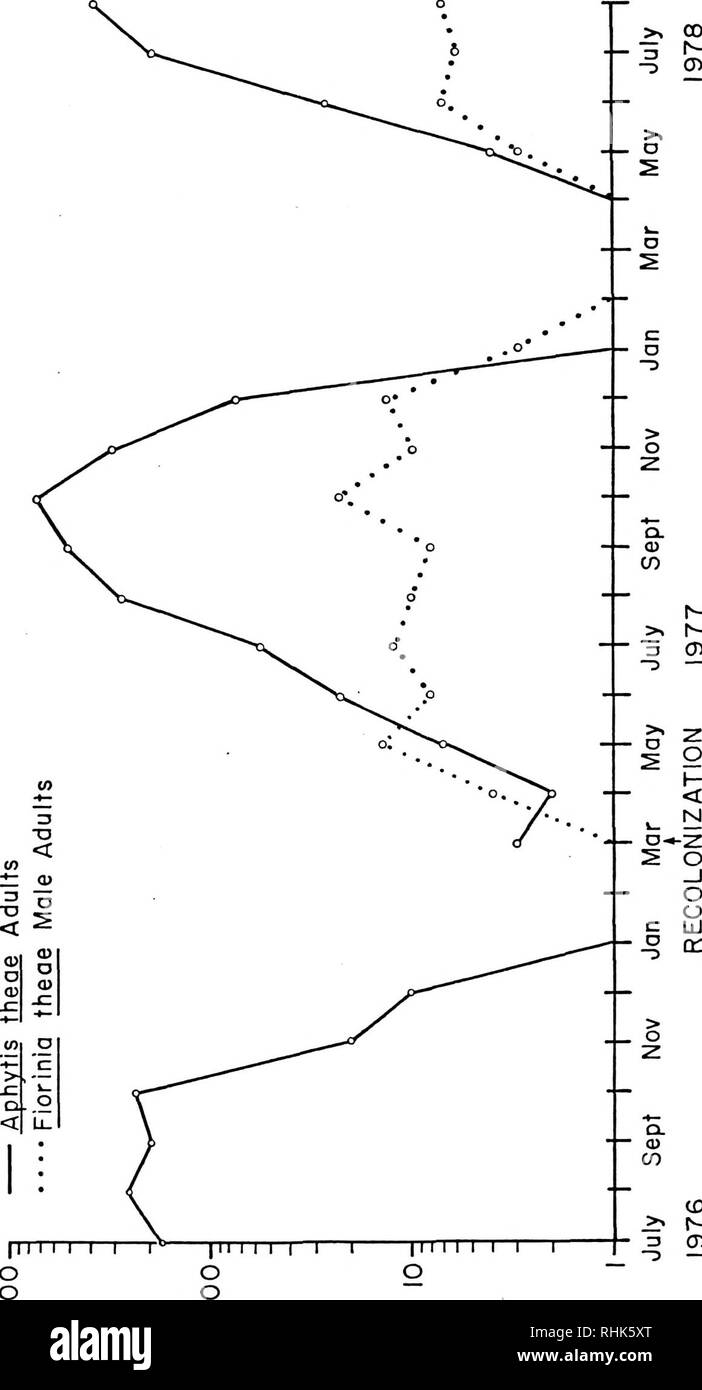 . Biologie et la dynamique de l'échelle, Fiorinia theae thé vert (Diaspididae : Coccoidea : Homoptères). Les cochenilles. 40. |ii i i i i Iâr O O O â S3AV31/sunav uaawnN ooi jo &gt ;. 0 â¢H 13 S-L -je m â cd3 a) 0 4-1 13 iH 7 lcf" ^ -H C O CD 13 &Lt ; 01 4-1 lcf (fl N J3 cfl 1  w 0 o- Z Â -Â¢H:e O pour â¢h i- ; 1 4-1 Cu O O P- cfl â¢n c li i &Lt ; : cfl D cr â¢H 0 &Lt ;-t QJ à 6 C lcf. Veuillez noter que ces images sont extraites de la page numérisée des images qui peuvent avoir été retouchées numériquement pour plus de lisibilité - coloration et l'aspect de ces illustrations ne peut pas parfaitement ressembler à l'original Banque D'Images