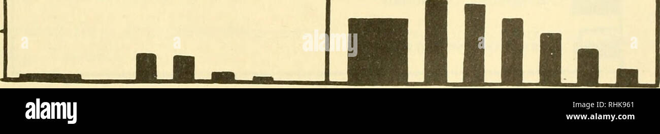 . Biologie des déserts : les actes d'un colloque sur la biologie des déserts chauds et froids, organisée par l'Institut de biologie. Les déserts. Ceratonia siliqua - Pistacia lentiscus Association. La figure 4. La fin de l'été les taux de transpiration de l'espèce dominante typique de la Méditerranée et le désert dans les associations végétales de la Palestine. 63. Veuillez noter que ces images sont extraites de la page numérisée des images qui peuvent avoir été retouchées numériquement pour plus de lisibilité - coloration et l'aspect de ces illustrations ne peut pas parfaitement ressembler à l'œuvre originale.. Cloudsley-Thompson, J. L. Londres : Institut de Bio Banque D'Images